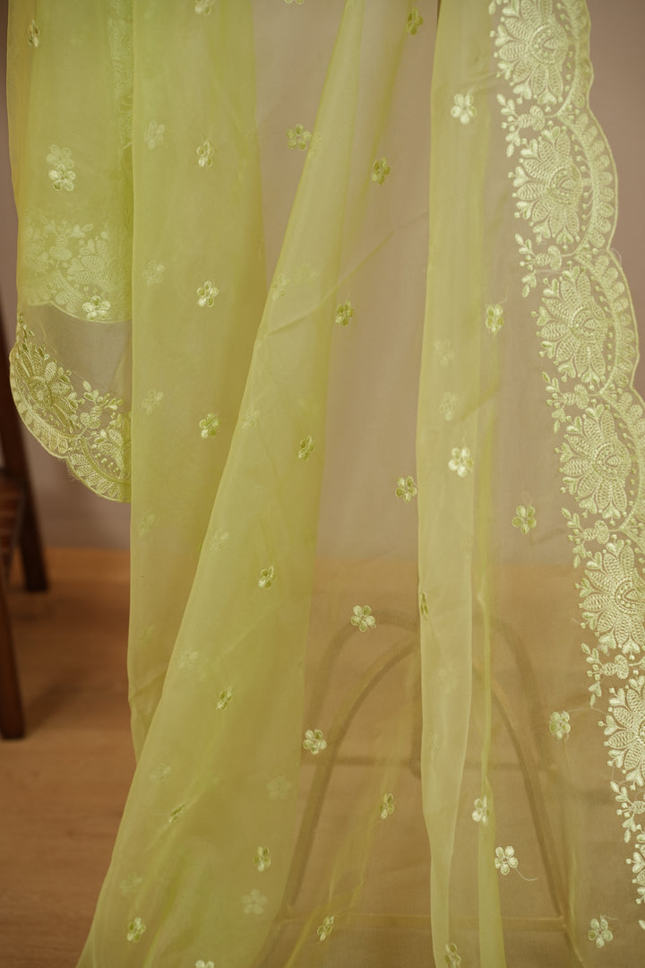 Organza Dupatta TDA399