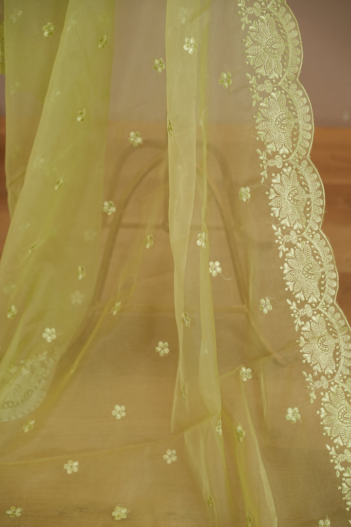 Organza Dupatta TDA399