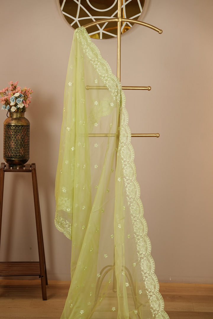 Organza Dupatta TDA399
