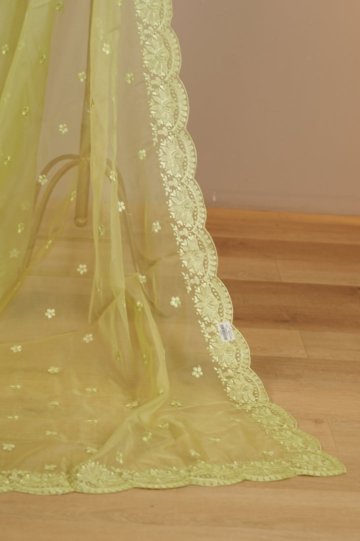 Organza Dupatta TDA399