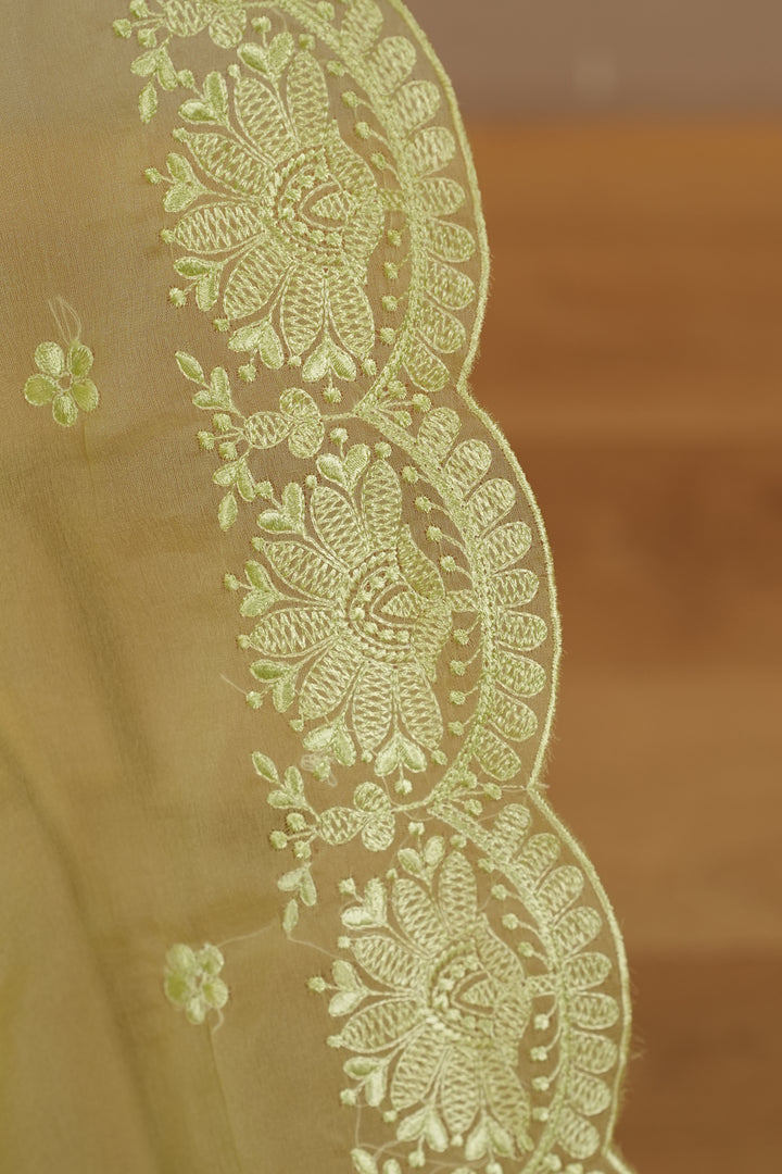 Organza Dupatta TDA399