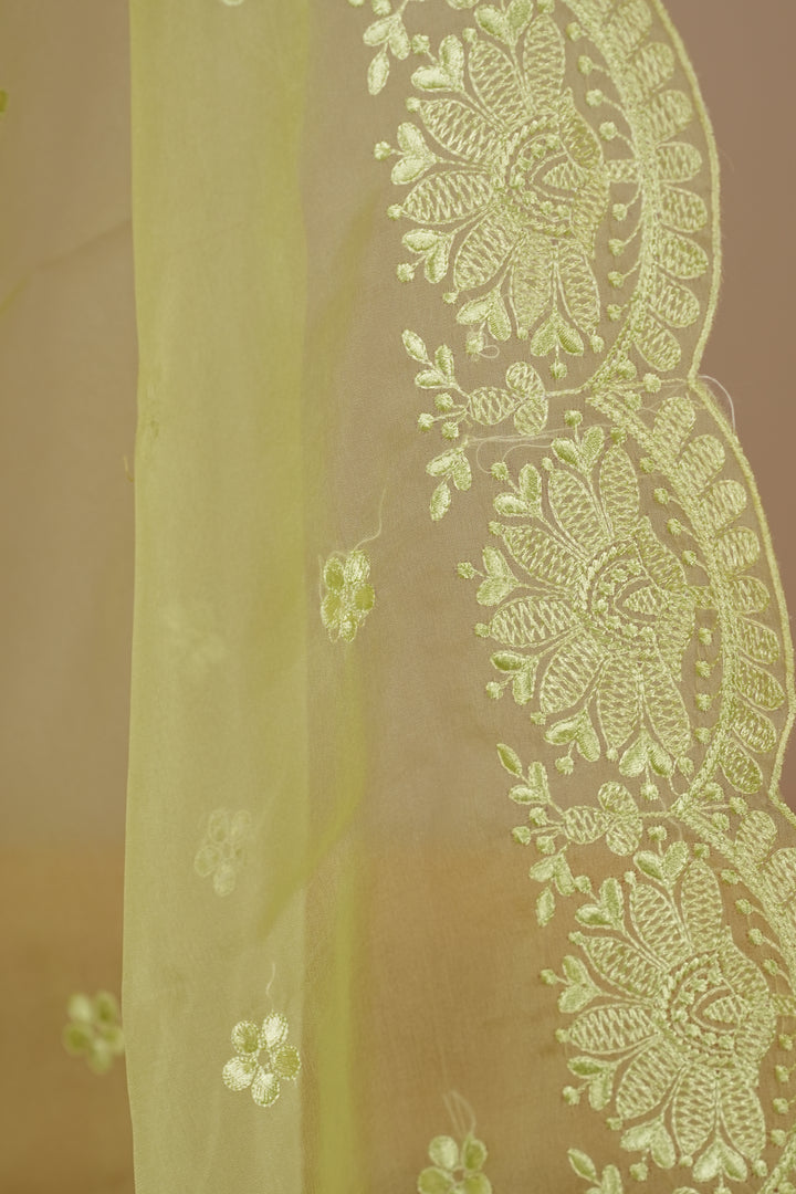Organza Dupatta TDA399