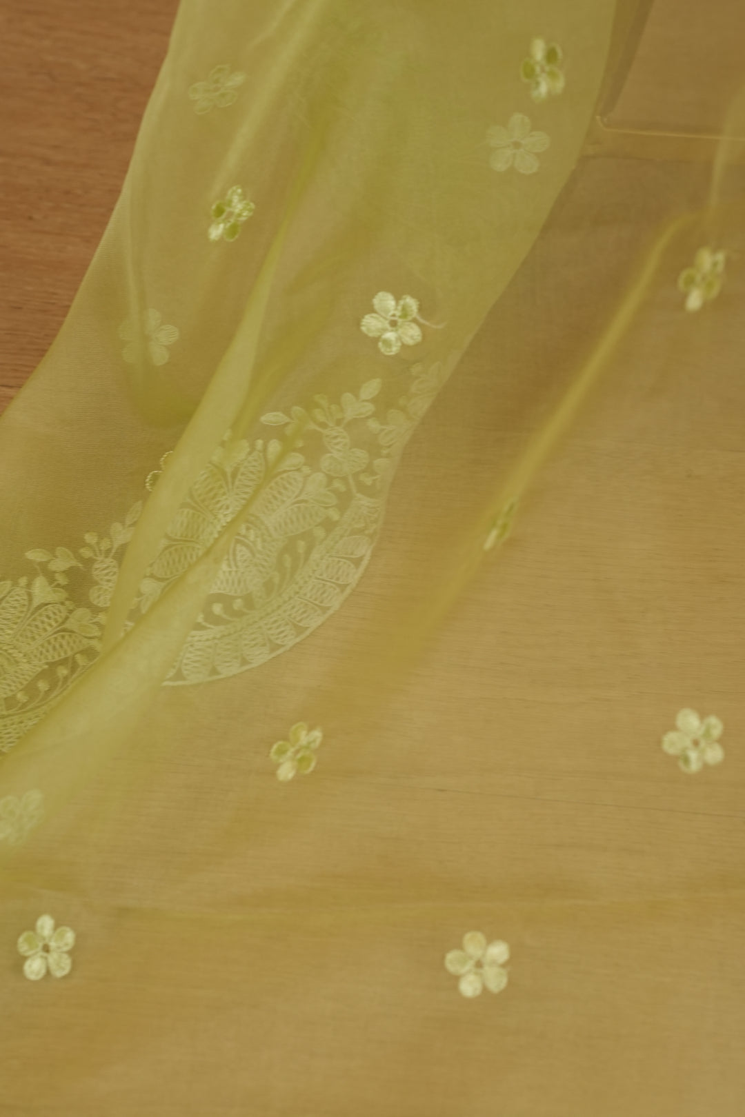 Organza Dupatta TDA399