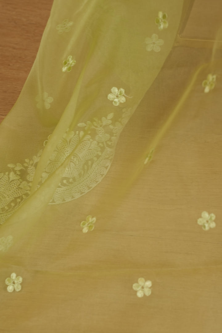 Organza Dupatta TDA399