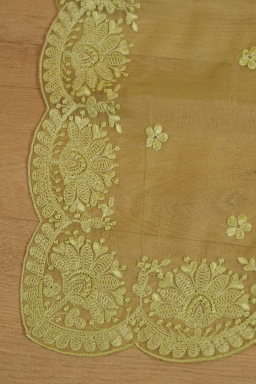 Organza Dupatta TDA399