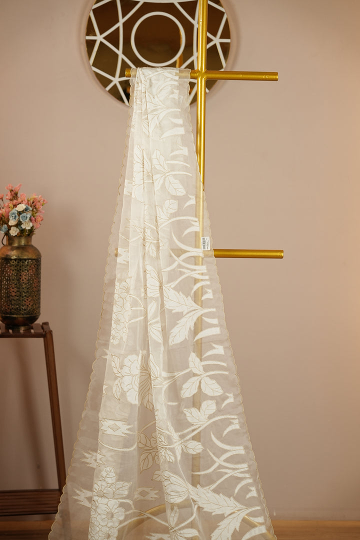 Organza Dupatta TDA394