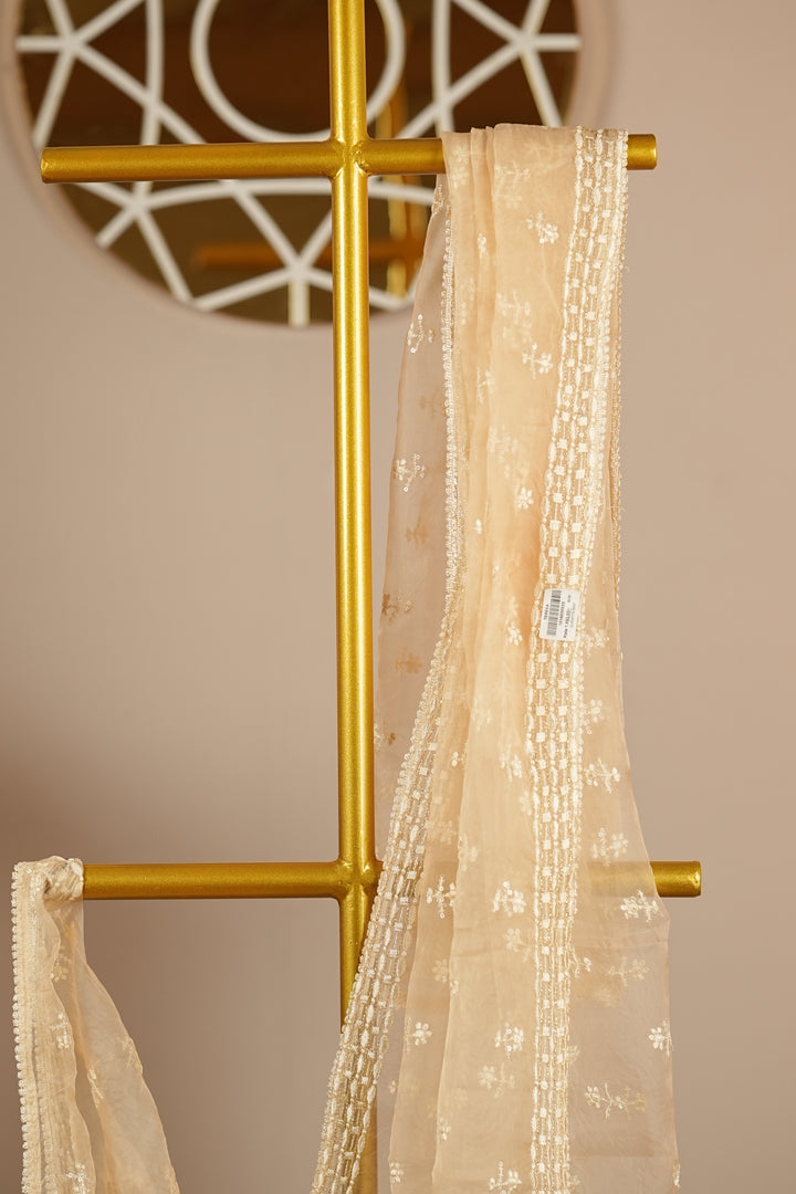 Crushed Organza Dupatta TDA398