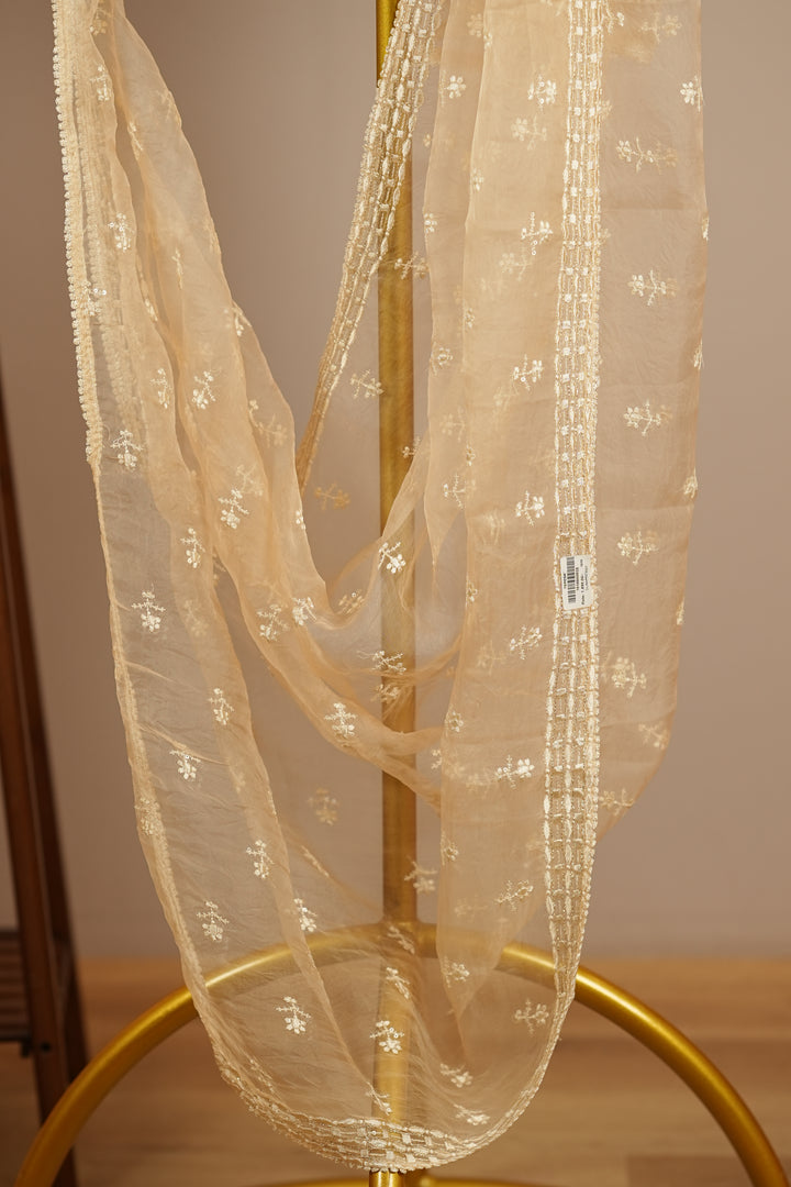 Crushed Organza Dupatta TDA398