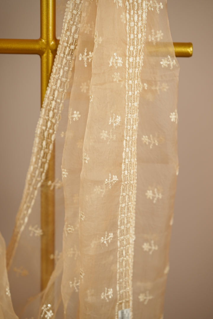 Crushed Organza Dupatta TDA398