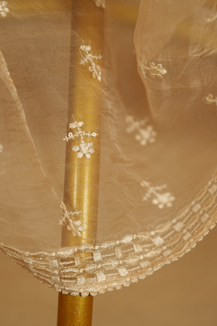 Crushed Organza Dupatta TDA398