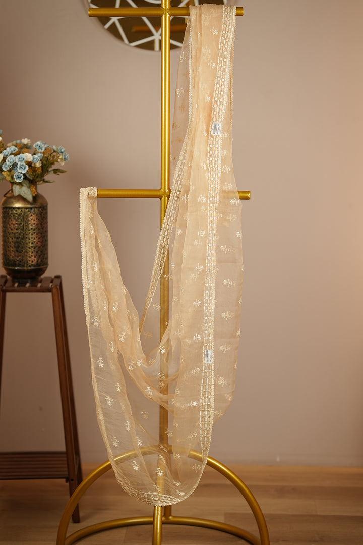 Crushed Organza Dupatta TDA398