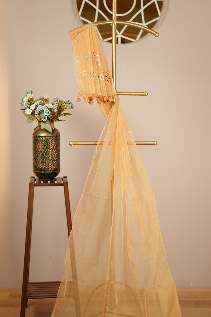 Organza Dupatta TDA395