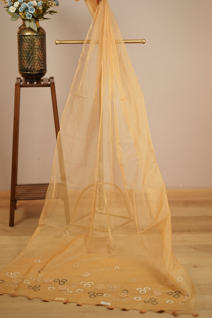 Organza Dupatta TDA395