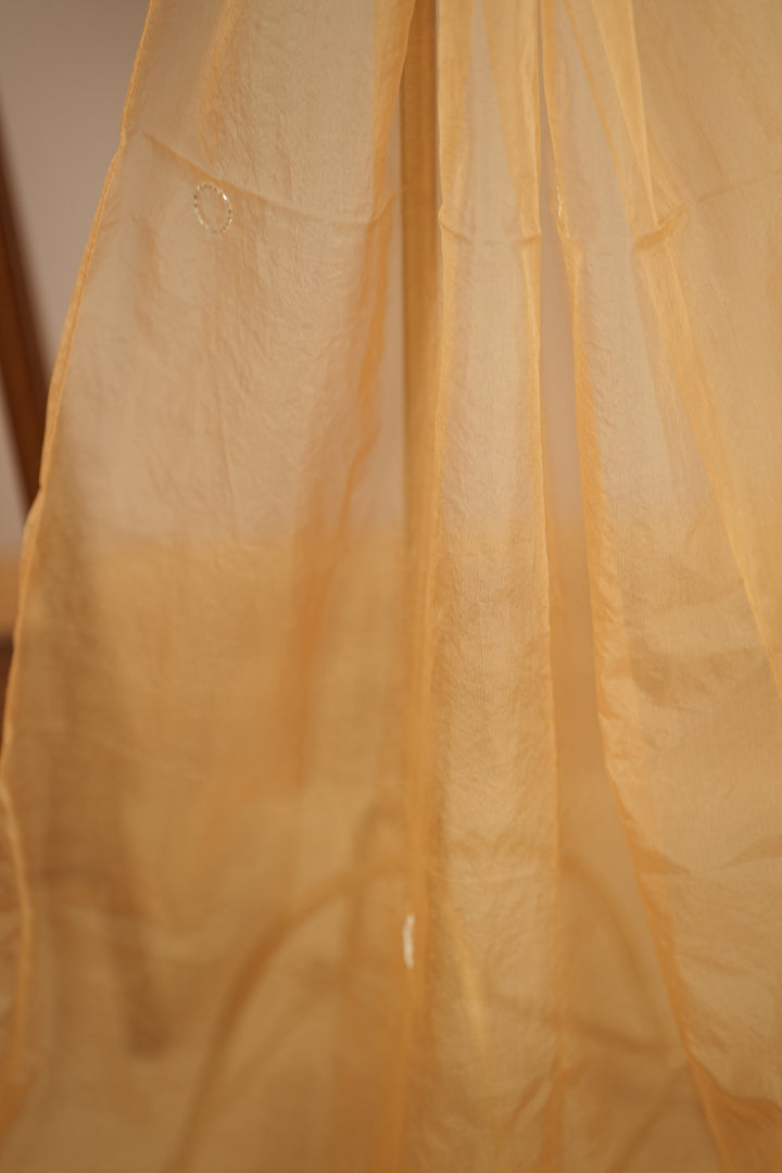 Organza Dupatta TDA395