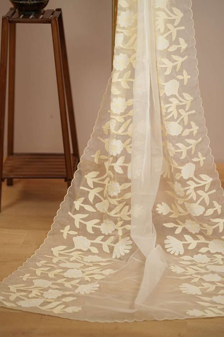 Organza Dupatta TDA392