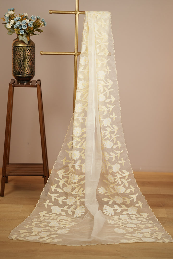 Organza Dupatta TDA392
