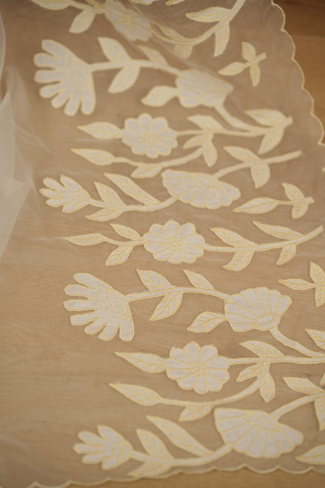 Organza Dupatta TDA392
