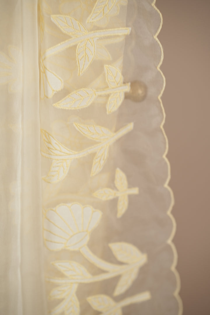 Organza Dupatta TDA392