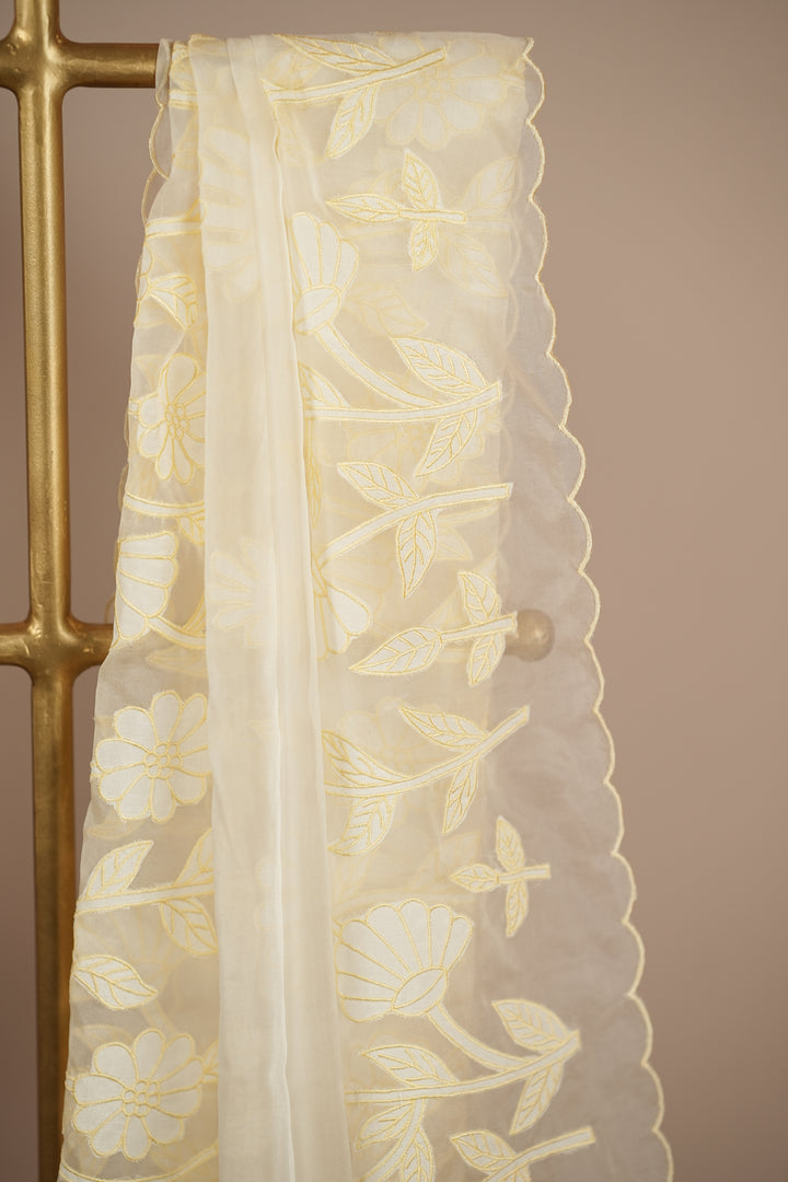 Organza Dupatta TDA392