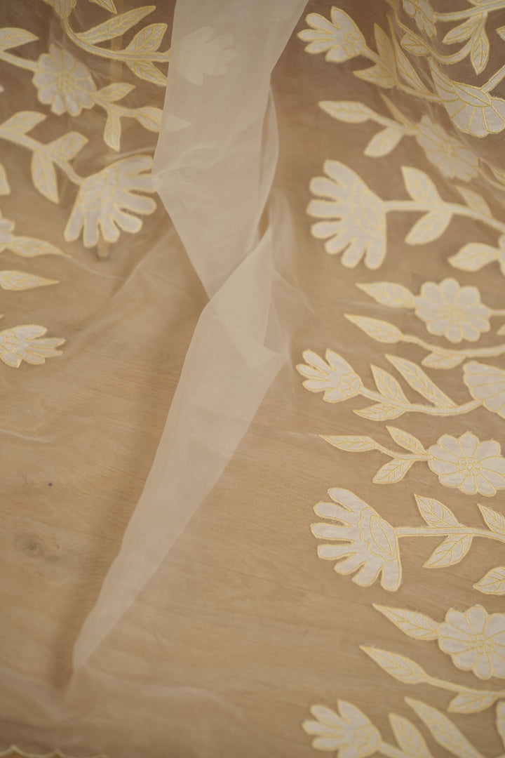 Organza Dupatta TDA392