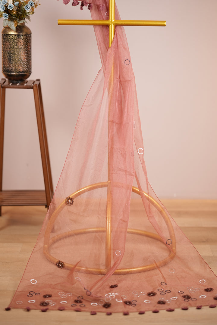 Organza Dupatta TDA397