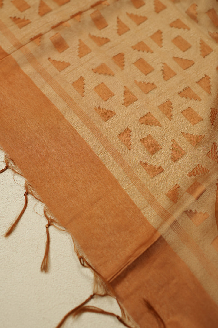 Super Net Saree TSA931