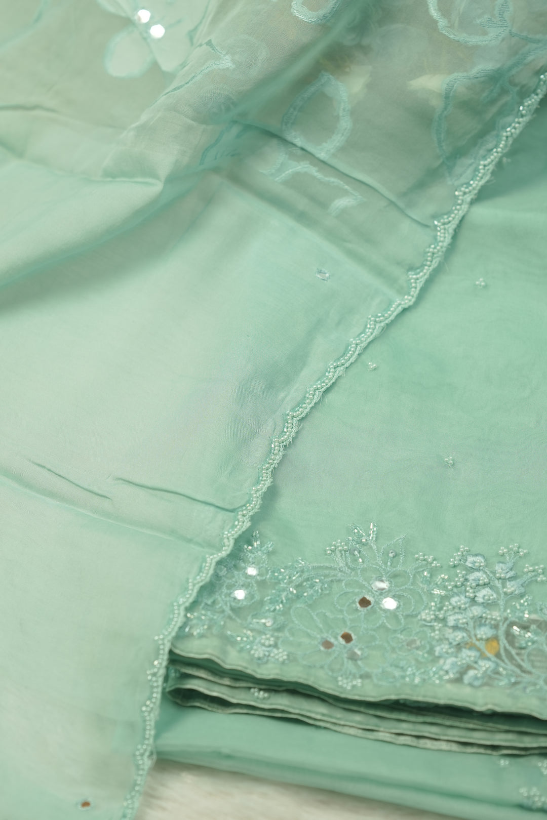 Organza Salwar TSS5717