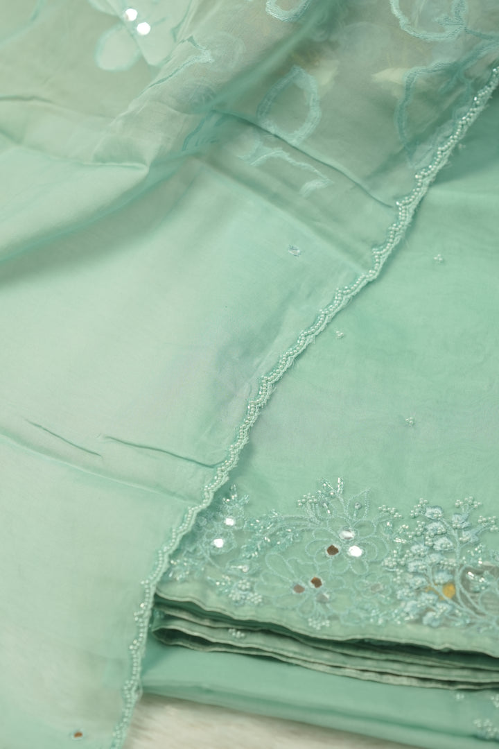 Organza Salwar TSS5717