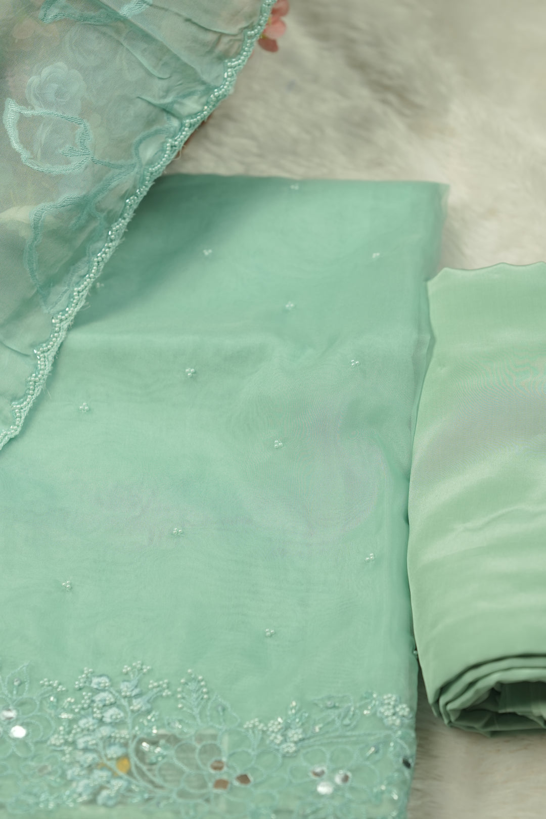 Organza Salwar TSS5717