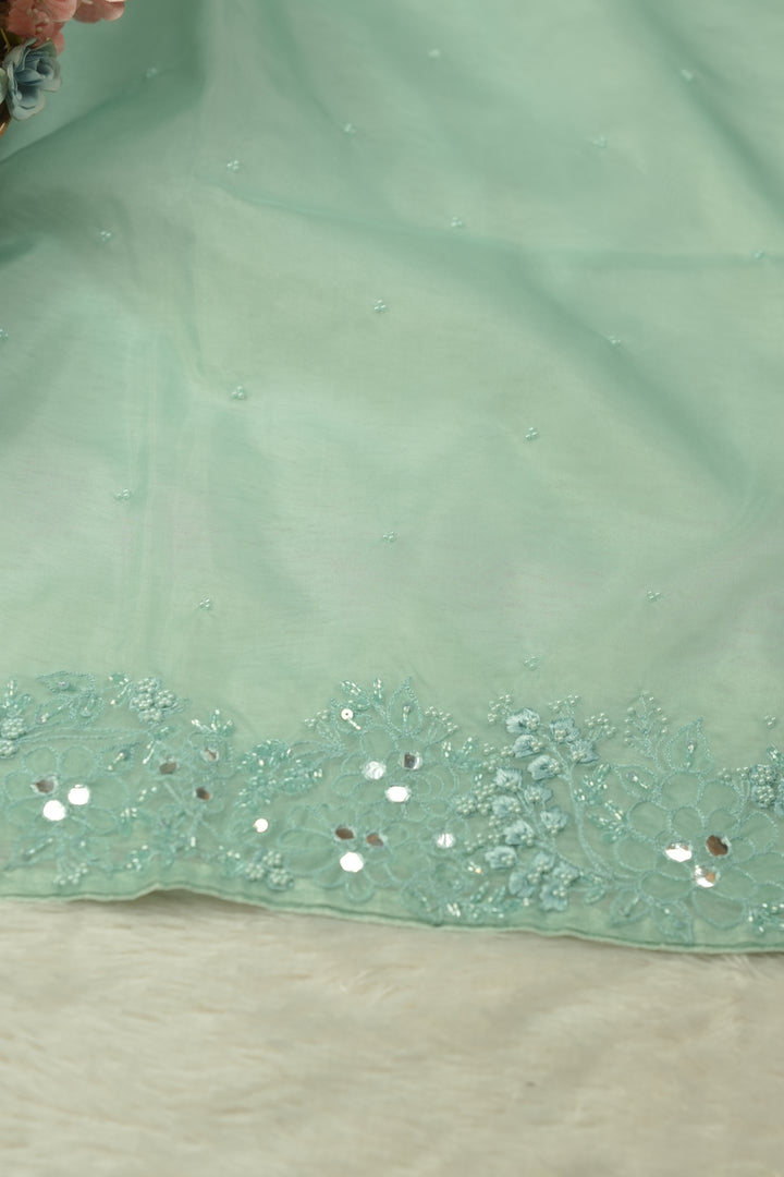 Organza Salwar TSS5717