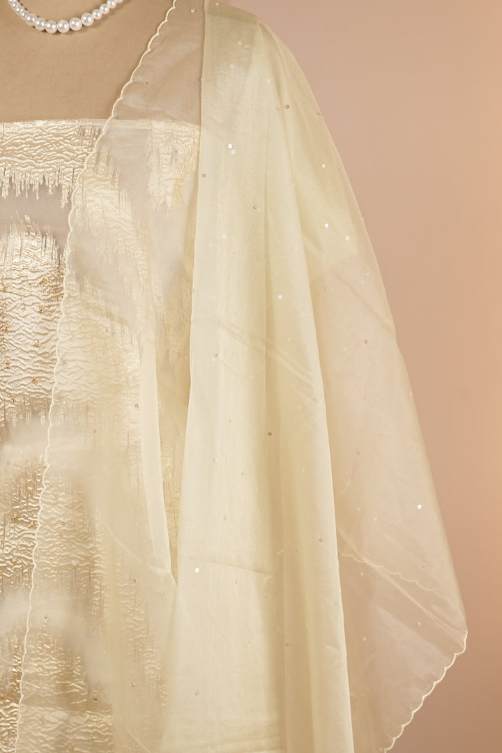 Turkish Organza Salwar TSS0264