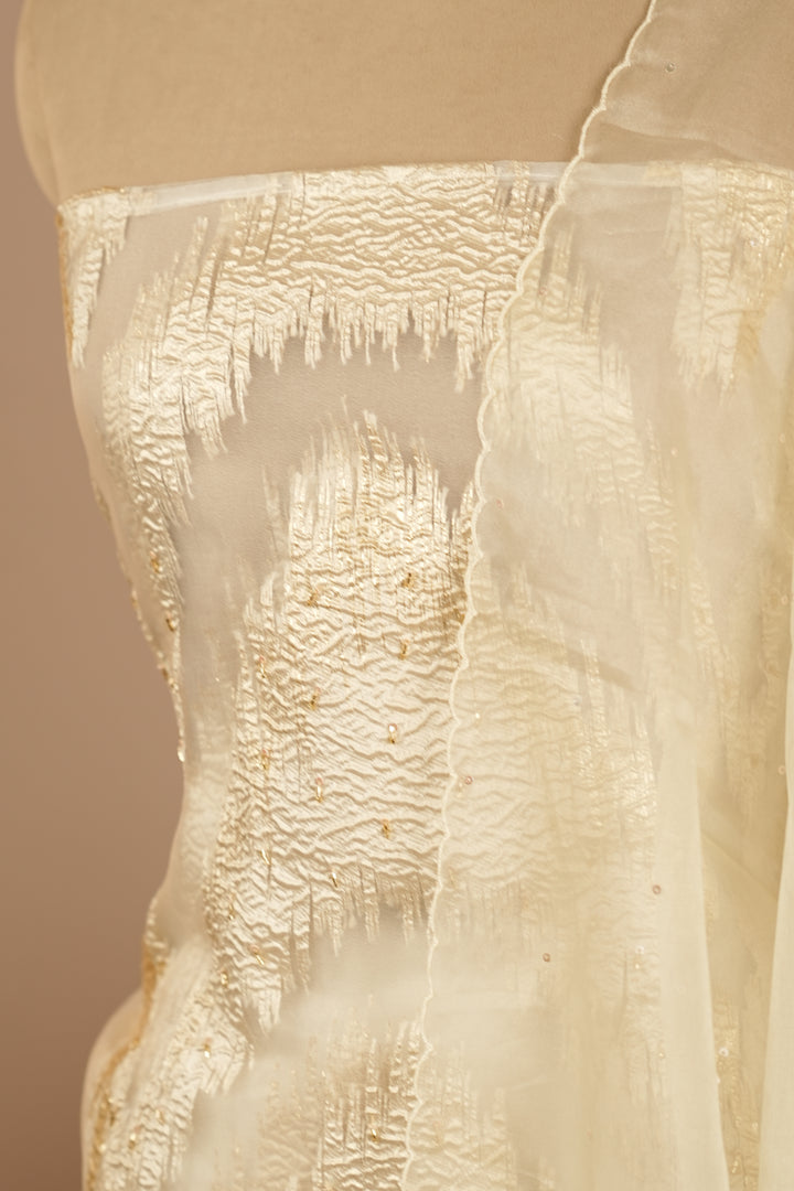 Turkish Organza Salwar TSS0264