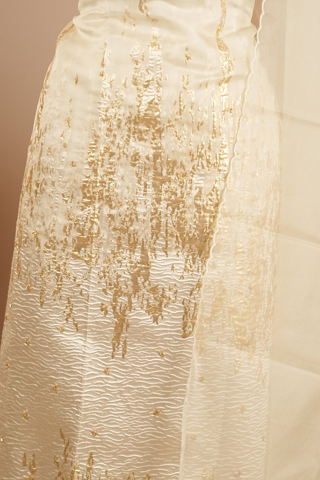 Turkish Organza Salwar TSS0263