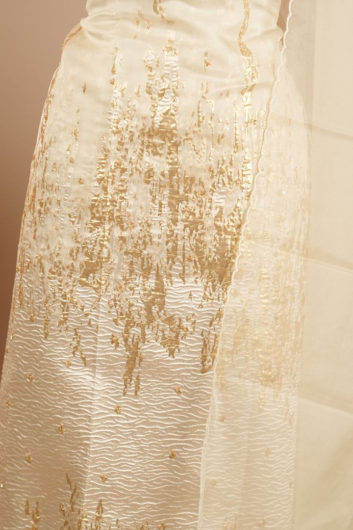 Turkish Organza Salwar TSS0263