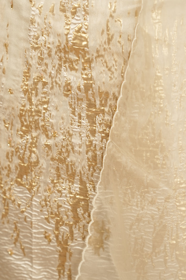 Turkish Organza Salwar TSS0263