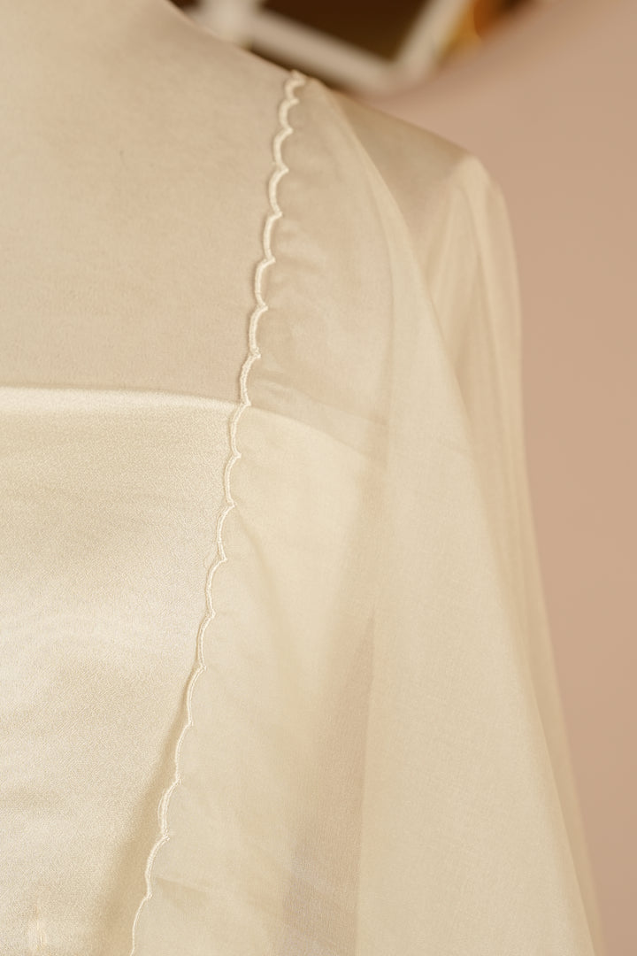 Turkish Organza Salwar TSS0263
