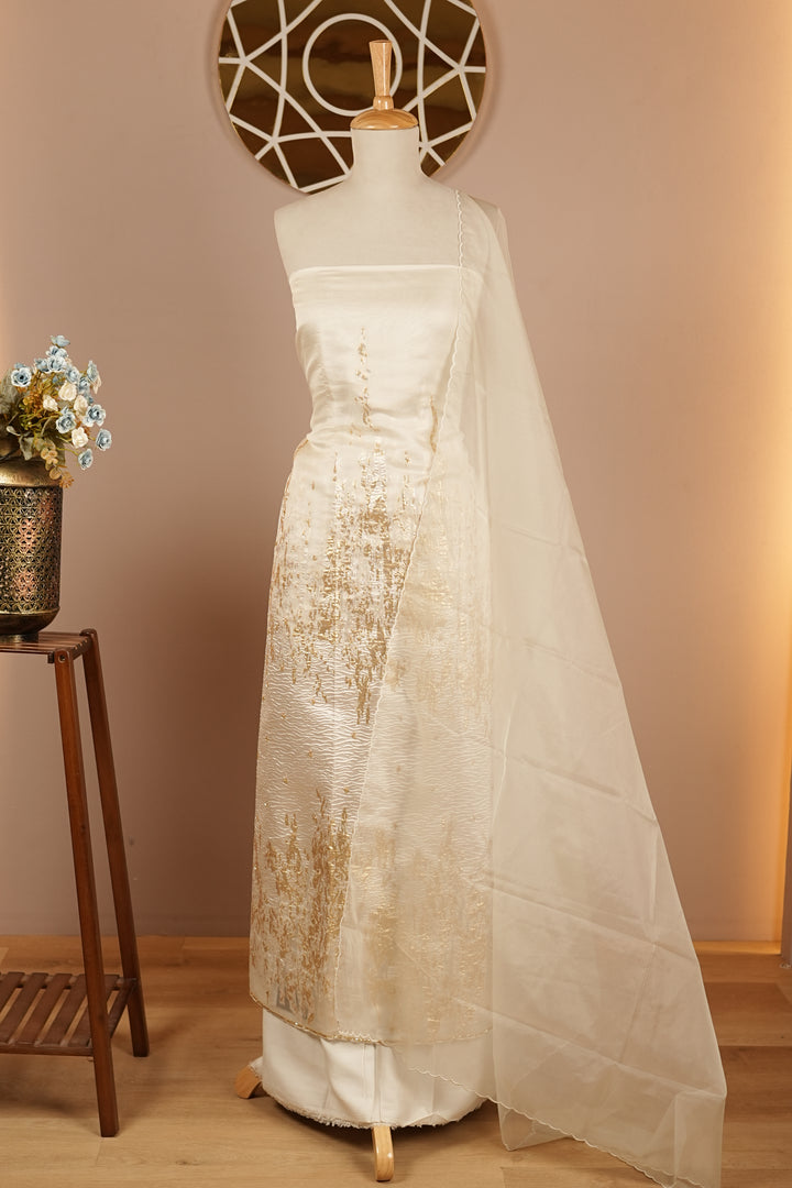 Turkish Organza Salwar TSS0263