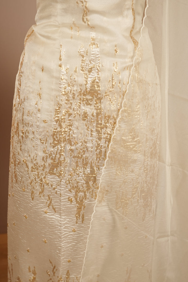 Turkish Organza Salwar TSS0263