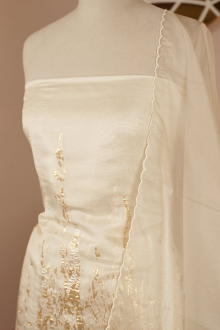 Turkish Organza Salwar TSS0263