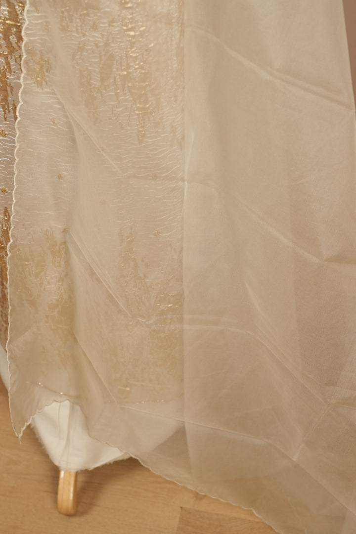 Turkish Organza Salwar TSS0263