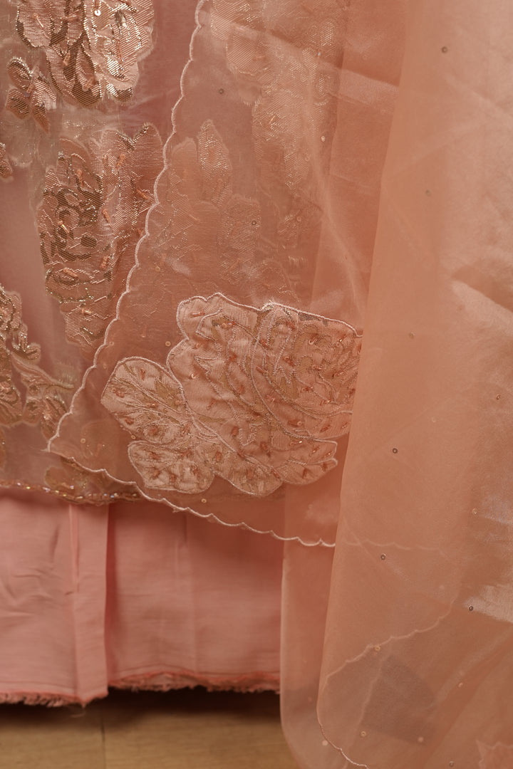 Turkish Organza Salwar TSS003