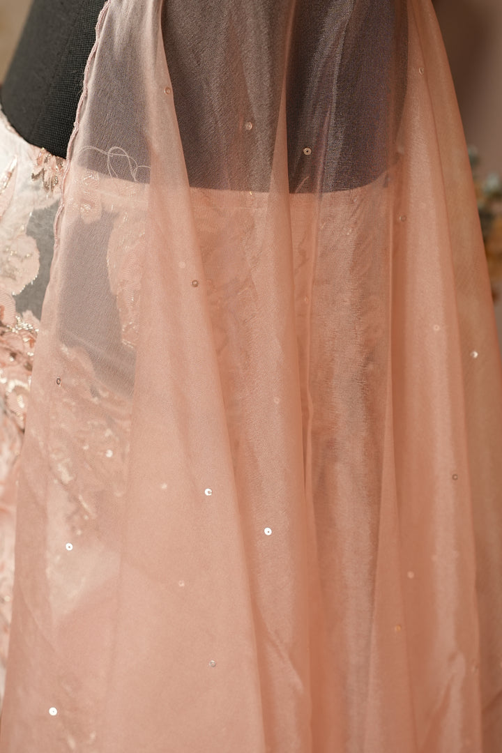 Turkish Organza Salwar TSS003