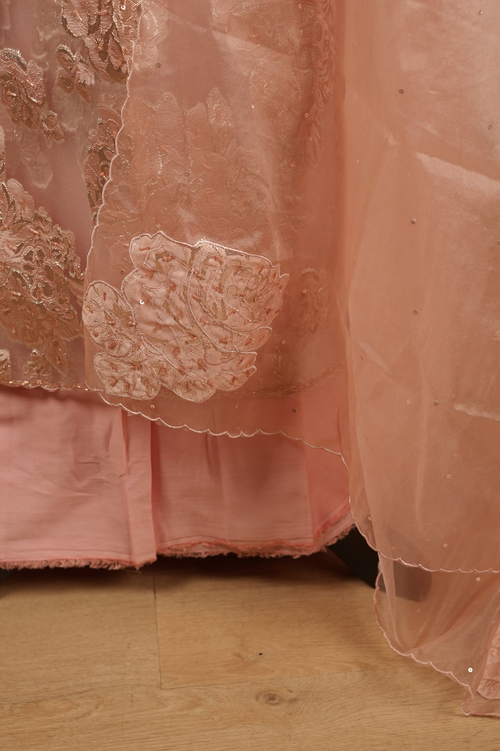 Turkish Organza Salwar TSS003