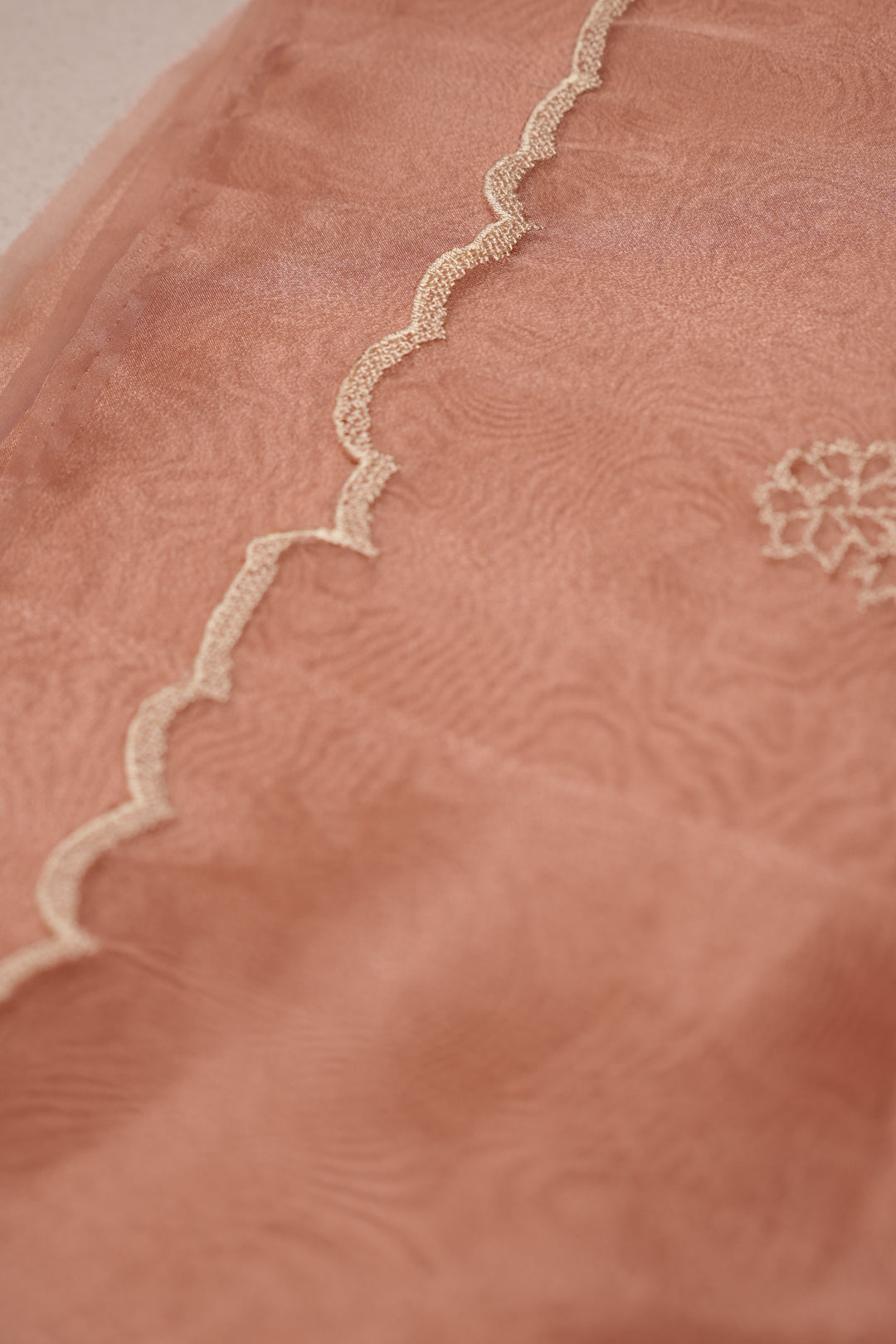 Glass Organza Saree TSA076