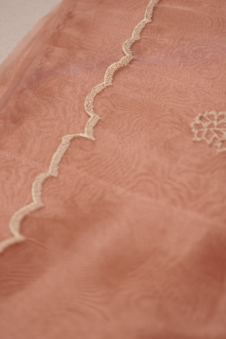 Glass Organza Saree TSA076