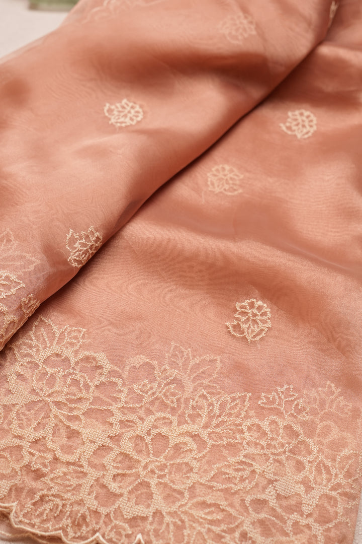 Glass Organza Saree TSA076