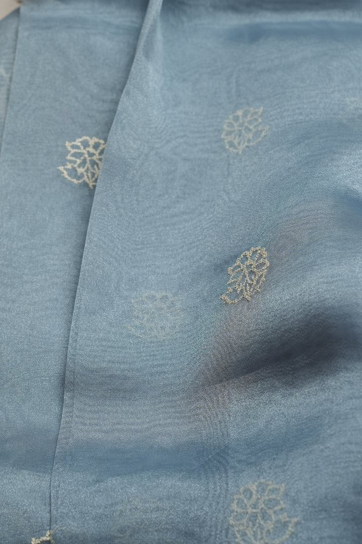 Glass Organza Saree TSA073