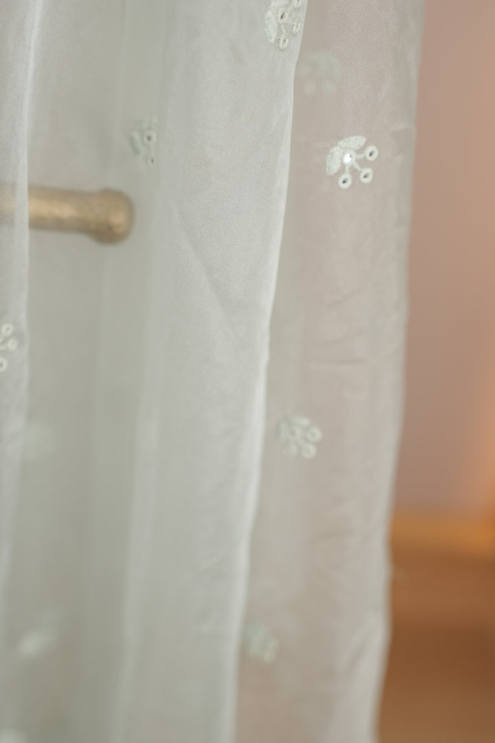 Organza Dupatta TDA4775