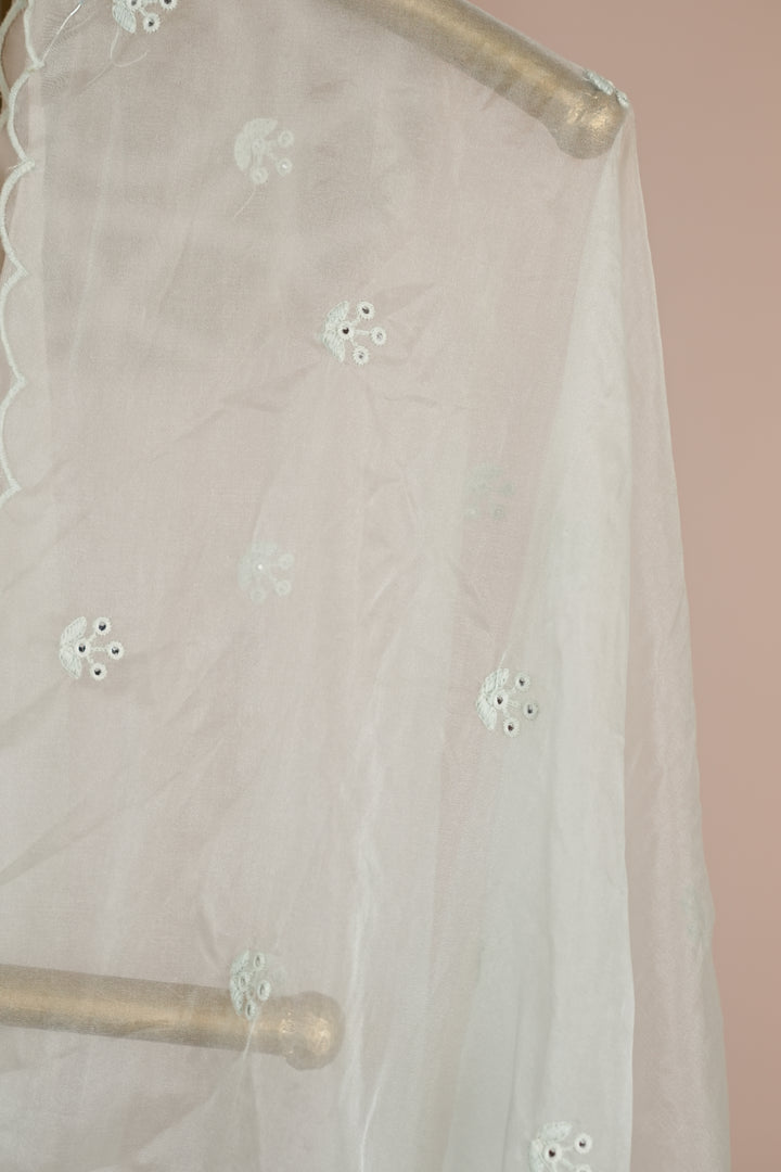 Organza Dupatta TDA4775