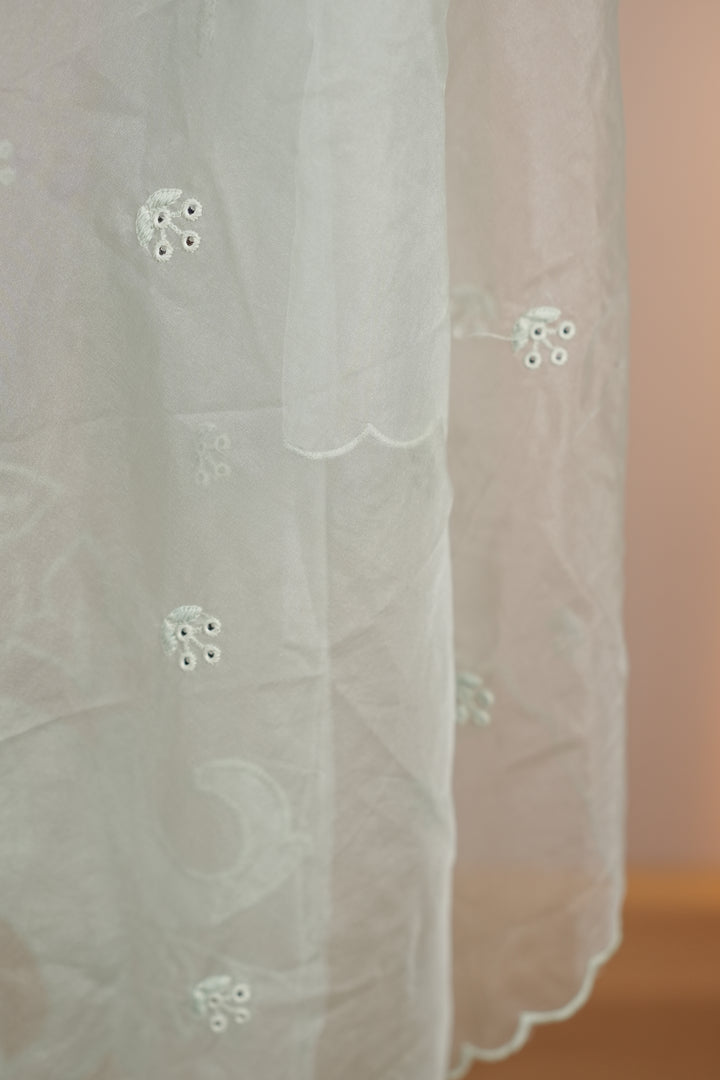 Organza Dupatta TDA4775